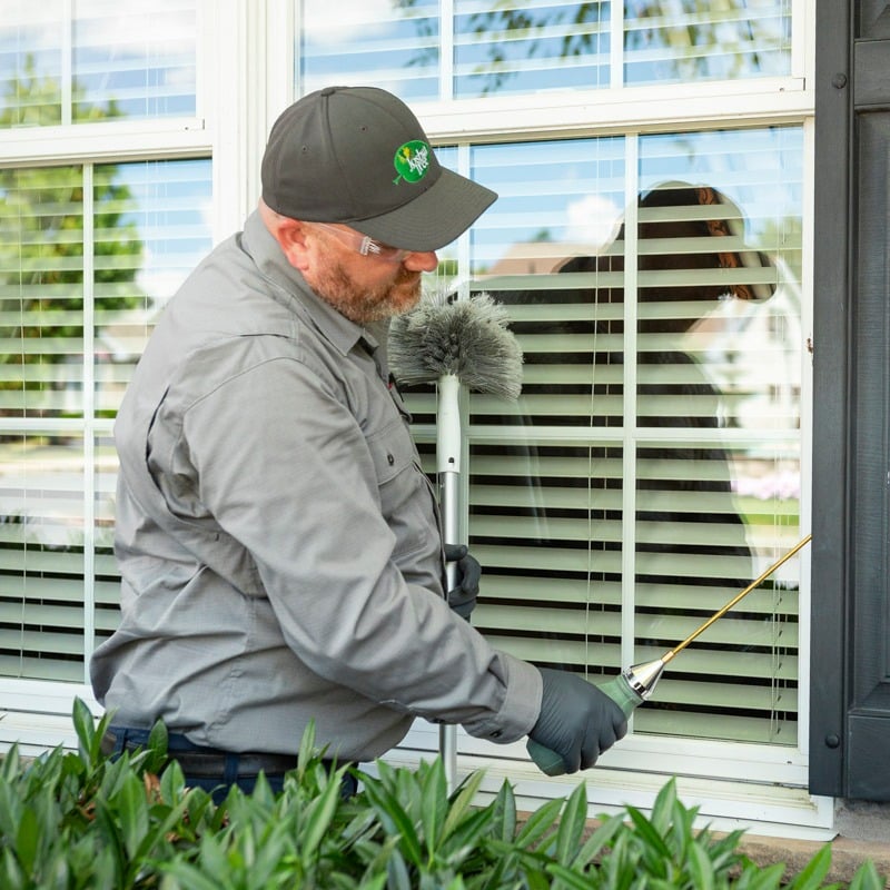 Ultimate Guide to 26 Household & Outside Pests in PA